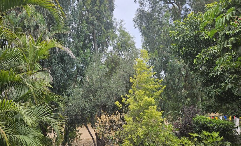 WhatsApp Image 2023-06-26 at 08.47.08 (1)