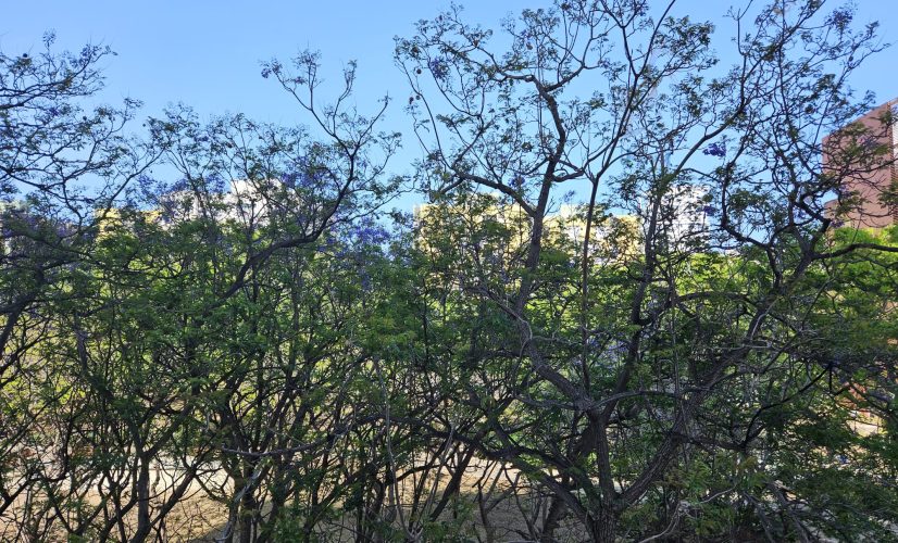 WhatsApp Image 2023-06-26 at 08.48.38