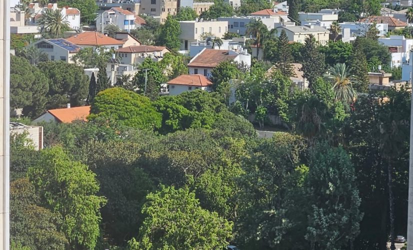 WhatsApp Image 2023-06-26 at 13.00.44